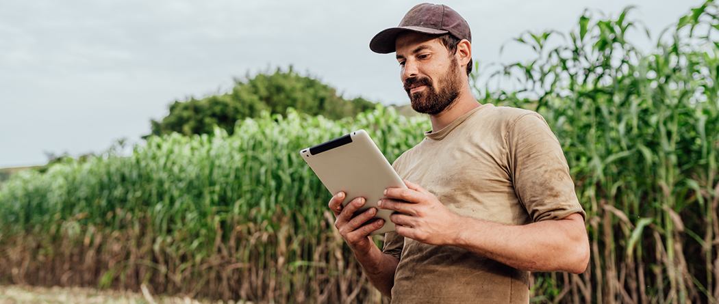 Man using tablet during harvest time in a field