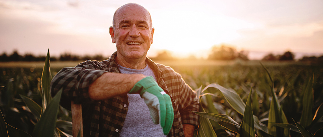 Farmer leaning on post in corn field