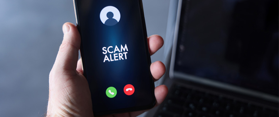 person with a scam alert on their mobile phone