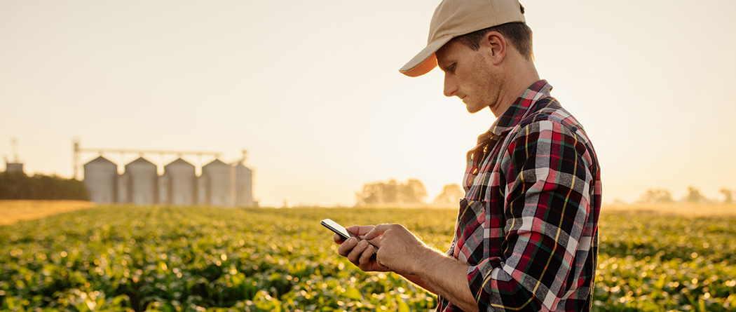 Ag farmer using mobile device in a field